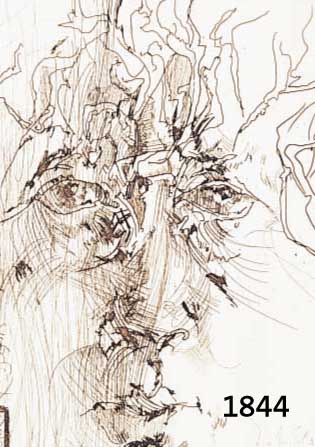JANJANSSEN, HORST, 1929-1995, SELBSTBILDNIS, RADIERUNG, HANDSIGN., DAT. 75 UND NUM. 8245/ 10000, CA. 22 X 16,5 CM