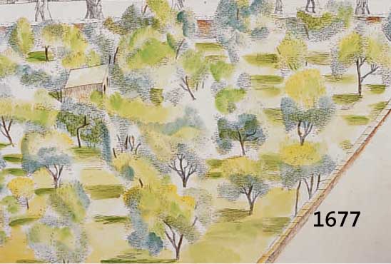 DÖRRIES, BERNHARD, 1898 HANNOVER-1978 BIELEFELD, OBSTGARTEN, AQUARELLIERTE LITHOGRAPHIE, HAND- SIGN. UND DAT. 74, NUM. 75/100, CA. 36 X 48CM, ...