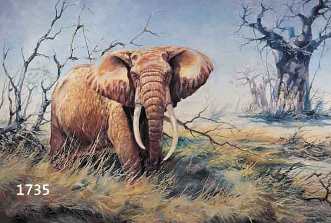 GRAGRANT, DONALD, GEB. 1930, AFRIKANISCHER ELEFANT IN DER SAVANNE, ÖL/LWD, LI. U. SIGN., CA. 65 X 105 CM, R.