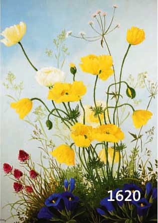 HERZING, MINNI, DEUTSCHE KÜNSTLERIN DER ERSTEN HÄLFTE DES 20. JH., WIESENBLUMEN, ÖL/HOLZ, LI. U. SIGN., CA. 60 X 50 CM, R.
