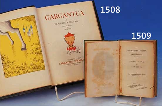 BART, SIR WILLIAM JARDIN, 1843, THE NATURALIST'S LIBRARY ORNITHOLOGY VO. XIII, NECTARINIADEAE OR SUN-BIRDS, EDINBURGH, PAPIER GEBRÄUNT, ...