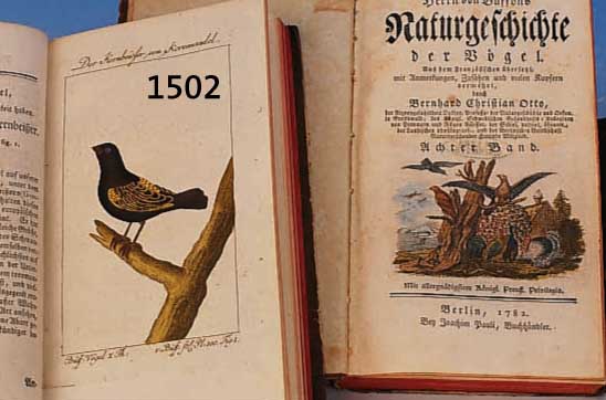 3 BÄNDE BUFFONS NATURGESCHICHTE DER VÖGEL, BERLIN 1794, ZWEITER BAND, ACHTER BAND 1782, ZEHNTER BAND 1784, PAPIER ALTERSBEDING GE- BRÄUNT, ...