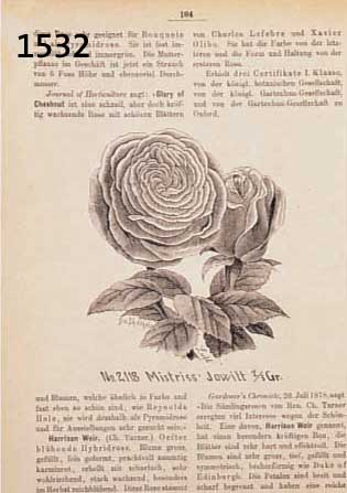 KONVOLUT VON 61 BLATT, MIT HOLSCHNITTEN UND LITHO. VON PFLANZEN- UND BLUMENDARSTELLUNGEN, SOWIE GARTENGERÄTSCHAFTEN, ALLES GUTE BLÄTTER, GR. DER ...