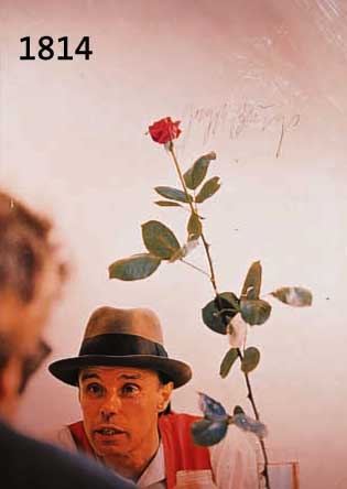 BEUYS, JOSEPH, 1921-1986, ROSE FÜR DIREKTE DEMOKRATIE, FARBOFFSET, HANDSIGNIERT, CA. 80 X 56 CM