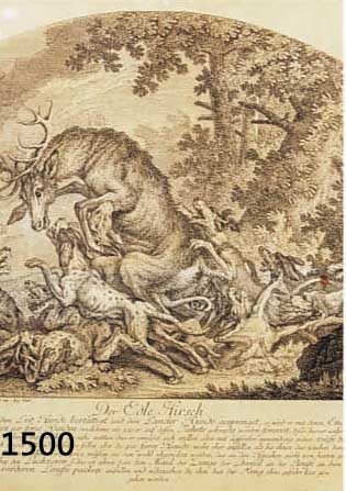RIDINGER, JOH. ELIAS, 17. JH., DREI KUPFER- STICHE MIT DARSTELLUNGEN VERSCH. WILDTIERE: AUEROCHE, WILDSCHWEIN UND DER EDLE HIRSCH, CA. 28,5 X 24 ...