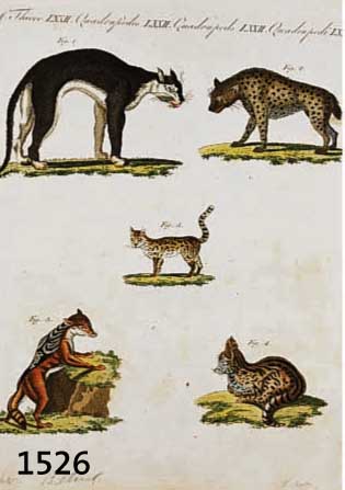 BERTUCH, FRIEDRICH JUSTIN, WEIMAR 1747-1822, 11 KOLORIERTE KUPFERSTICHTAFELN MIT DARSTEL- LUNGEN VERSCHIEDENER TIERE, JE CA. 22 X 18 CM, LEICHT ...