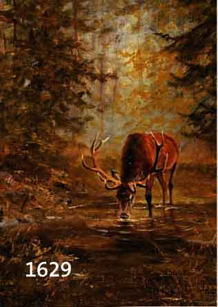 MAJEWITZ, GEORGE, 1897 POLKWITZ-1965 MUNSCHBERG, TRINKENDER HIRSCH IM WALD, ÖL/LWD, LI. U. SIGN., CA. 50 X 40 CM, R.