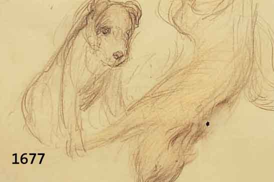 DILL, OTTO, 1884 NEUSTADT-1957 BAD DÜRKHEIM, FUCHS UND HUND, BLEISTIFTZEICHNUNG, RE. U. SIGN., CA. 17 X 22 CM, PP, U.GL., R.