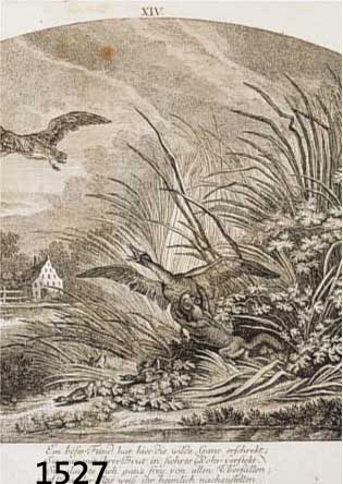 RIDINGER, JOH. ELIAS, 18. JH., ZWEI KUPFERSTICHE: EICHKÄTZCHEN, CA. 16 X 13 CM, RAHMEN BESCHÄDIGT, 1 X WILDE GÄNSE, CA. 23 X 25 CM, U.GL., R.