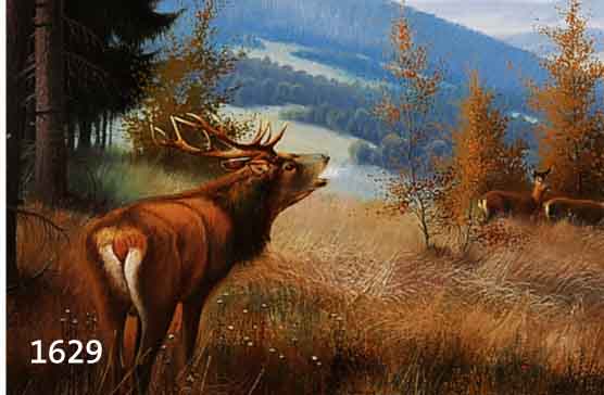 BAUER, K. A., GEB. 1885 WISTASCHAN, SCHÜLER DER AKADEMIE IN WIEN UND KRAKAU, RÖHRENDER HIRSCH AM WALDRAND, ÖL/LWD., RECHTS UNTEN SIGN., 63 X 80 ...