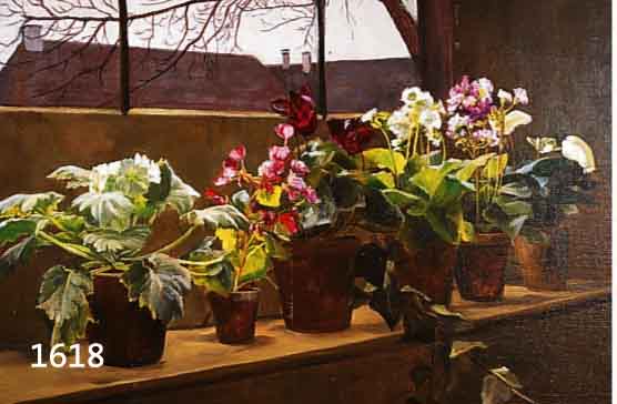 FINKLER, JOHANNA TOPFPFLANZEN AM FENSTER, ÖL/LWD, AUF HARTFASER AUFGEZOGEN, CA. 51 X 71 CM, R.