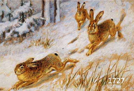 WECZERZICK, ALFRED, 1864 HERISCHDORF-1952 BERLIN, HASEN IM SCHNEE, ÖL/MALKARTON, RE. U. SIGN., RÜCKSEITIG BETITELT: IM JANUAR, CA. 33 X 42 CM, R.