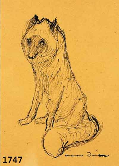 Dill, Otto Prof., 1884 Neustadt-1957 Bad DÜrk- heim, Wolf, Tuschfederzeichnung, re. u. handsign., Papier gebrÄunt, ca. 20 x 14.5 cm, PP., u. Gl. ...