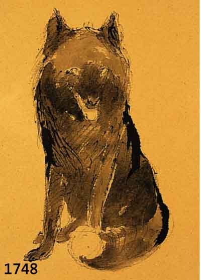DILL, OTTO, PROF., 1884 NEUSTADT-1957 BAD DÜRKHEIM, SITZENDER WOLF, LAVIERTE TUSCHE- ZEICHNUNG, PAPIER GEBRÄUNT, CA. 20 X 14.5 CM, U. GL. GER.