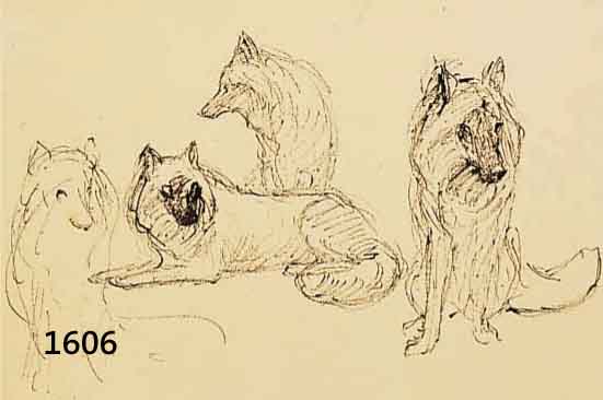DILL, OTTO, PROF., 1884 NEUSTADT-1957 BAD DÜRKHEIM, WOLFSTUDIEN, TUSCHEZEICHNUNG, CA. 19X27.5 CM, PP, U.GL., R., AUS EINEM SKIZZEN- BUCH