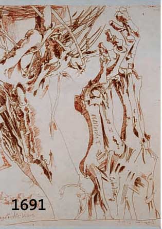 JANSSEN, HORST, 1929-1995, DREI RADIERUNGEN: 1 X VORGETÄUSCHTES WISSEN, HANDSIGN., CA. 27.5 X 22 CM; 1 X VÖGEL, 1980, HANDSIGNIERT, CA. 22 X 31 ...