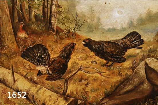 JAROLIMEK, J., KÜNSTLER UM 1920/30, BALZENDE AUERHÄHNE AM WALDRAND, ÖL/MALKARTON, SIGN. U. RE, 25 X 34 CM, R.