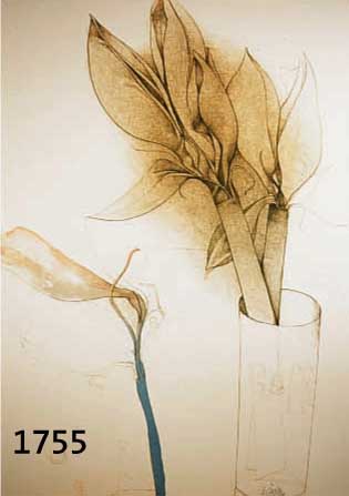 BRUNI, BRUNO, GEB. 1935, BLUMEN II, FARBLITHOGRAPHIE VON 1987, HANDSIGNIERT UND NUM. 1/150, CA. 79.5 X 59 CM