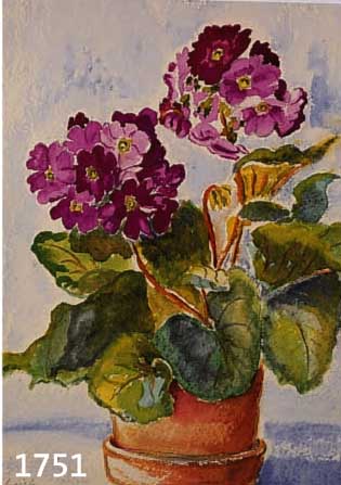 EHRICH, OTTO, GEB. 1897, VIOLETTE GERANIEN, AQUARELL AUF PAPIER, LI. U. SIGN., CA. 38 X 30 CM, U.GL., R.
