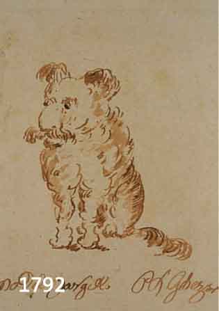Ghezzi, Pier-Leone, 1674-1755: Sitzender Hund, braune Tusche auf Papier, karikierend, re. u. sign., li. u. betitelt (unleserlich: Uno del B...), ...