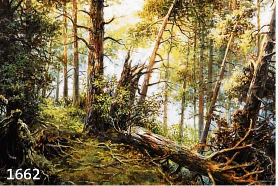 WISNIEWSKI, M., * 1925 IN WARSCHAU, ÖL/LWD., WALD NACH DEM STURM, SIGNIERT, 75 X 50 CM