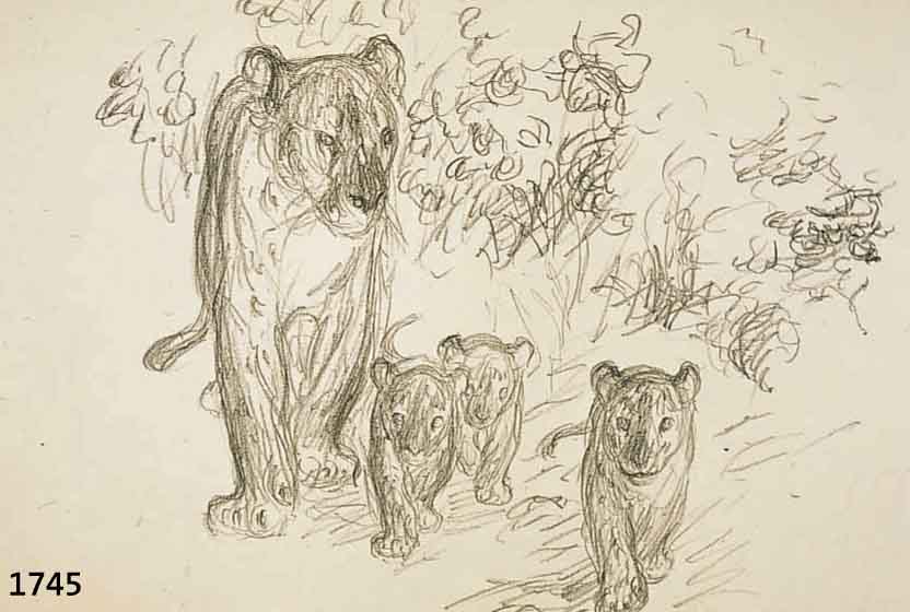 DILL, OTTO, 1884 NEUSTADT-1957 BAD DÜRKHEIM, RAUBTIERE, MAPPE MIT 12 HANDSIGNIERTEN LITHO- GRAPHIEN, BLATTGR. JE CA. 40 X 30 CM