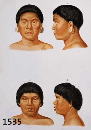 KONVOLUT VON 12 BLATT, U.A. MIT VER- SCHIEDENEN KOPFDARSTELLUNGEN (RASSEN) U.A. NEGER, ASIATEN, INDIANER U. VERSCHIEDENEN DARSTELLUNGEN VON ...