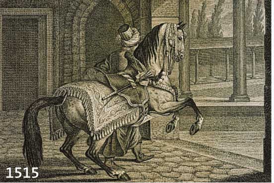KONVOLUT VON 2 PRACHTVOLLEN KUPFERSTICHEN VON RIDINGER MIT PFERDEDARSTELLUNGEN, 1.) DIVANI VON DER RECHTEN SEITE ANZUSEHEN, FESTER DRUCK, 24,5 X 33 ...