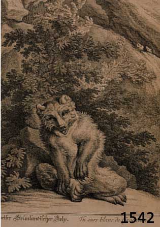 RIDINGER, JOH. ELIAS, 18. JH., ZWEI KUPFERSTICHE: DER GROßE SCHWARZE BÄHR, CA. 29 X 20 CM; EIN WEIßER BRÜNLÄNDISCHER BÄR, CA. 29 X 20 CM, ...