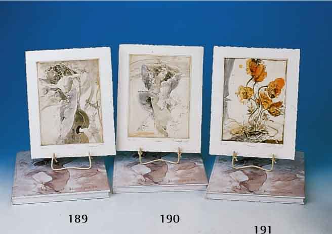GÖrg, JÜrgen: Lichtbilder, Buchobjekt von 2000/2001, mit einer Farbaquatintaradierung Anemone, diese handsign. und num. 90/150, ca. 23 x 17 cm