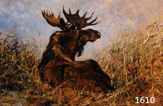 KROHN, KARL HANS, BERLINER AKADEMISCHER BILDNIS- UND TIERMALER, NACHGEWIESEN NOCH UM 1930, RUHENDER ELCH, ÖL/HOLZ SIGN. 49 X 70 CM, R.