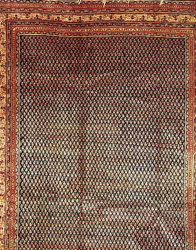 Sarogh Mir, Persien, ca. 30 Jahre. Wolle auf Baumwolle. Ca. 313 x 246 cm. Ehz 2-3.