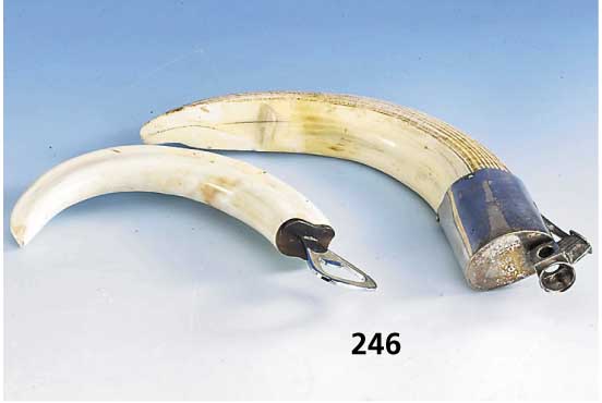 Zigarrenabschneider und FlaschenÖffner mit Walrosszahn, Schneider von Pfeilring, L. ca. 18.5 und 24.5 cm