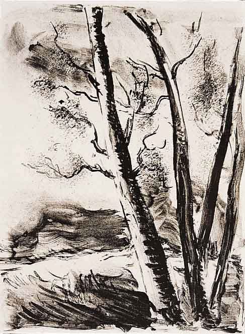 de Vlaminck, Maurice de, 1876 - 1958, Le Maison, Lithographie aus Mont Cinere, hand- signiert, Auflage 80 Exempl., ca. 16 x 13 cm, PP, WVZ Nr. 241