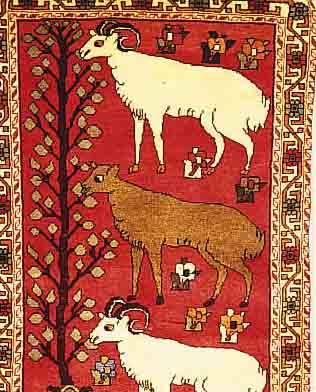 Koliai, Persien, ca. 30 Jahre, Wolle auf Baumwolle, ca. 153 x 98 cm, Ehz 2