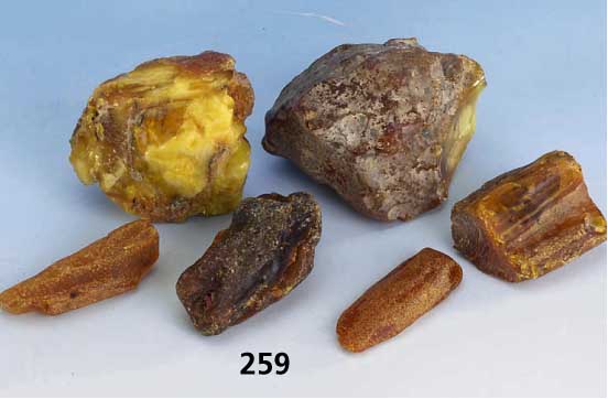 6 Bernsteinbrocken, naturbelassen, Baltikum versch. QualitÄten, total ca. 265 g (1 davon ca. 120), L bis ca. 7.5 cm