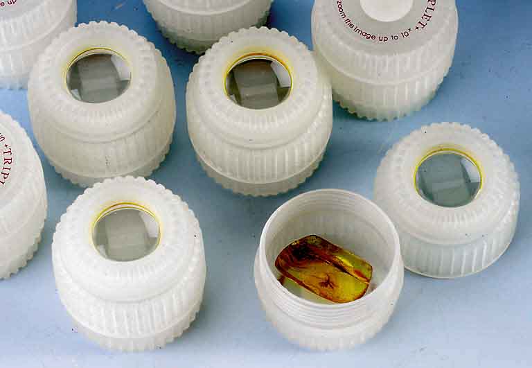Konvolut 12 kleine Bernsteine mit Inclusen, u.a. StechmÜcken, SauermÜcken, 1 x Ameise, alle seperaten Dosen mit Lupe im Deckel