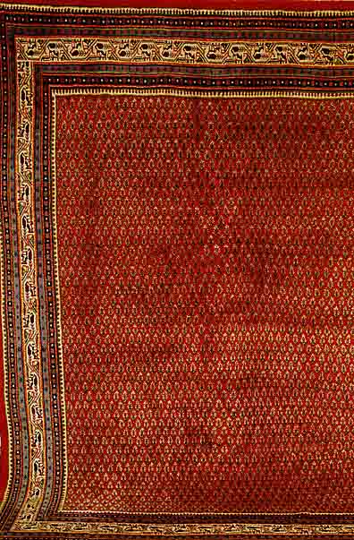 Sarogh Mir, Persien, ca. 20 Jahre, Wolle auf Baumwolle, ca. 314 x 218 cm, SchÄtzwert: 980.- EURO, ReinigungsbedÜrftig, EHZ: 2