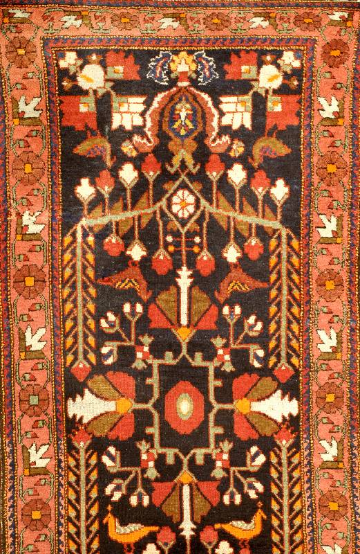 Lilian, Persien, um 1910, Wolle auf Baumwolle, ca. 295 x 97 cm, SchÄtzwert: 1400.- EURO, EHZ: 3, Farblich schÖn gezeichnete BordÜ re.