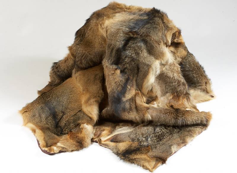 Decke aus Griesfuchs, RÜckseite mit rot -braun gefÜttert, frisch gereinigt, Maße: 180 x 134cm