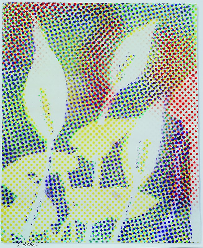 Sigmar Polke, 1941 Oels - 2010 Köln, Blumen, Farboffset, handsigniert, Passepartout, ca. 38x33cm