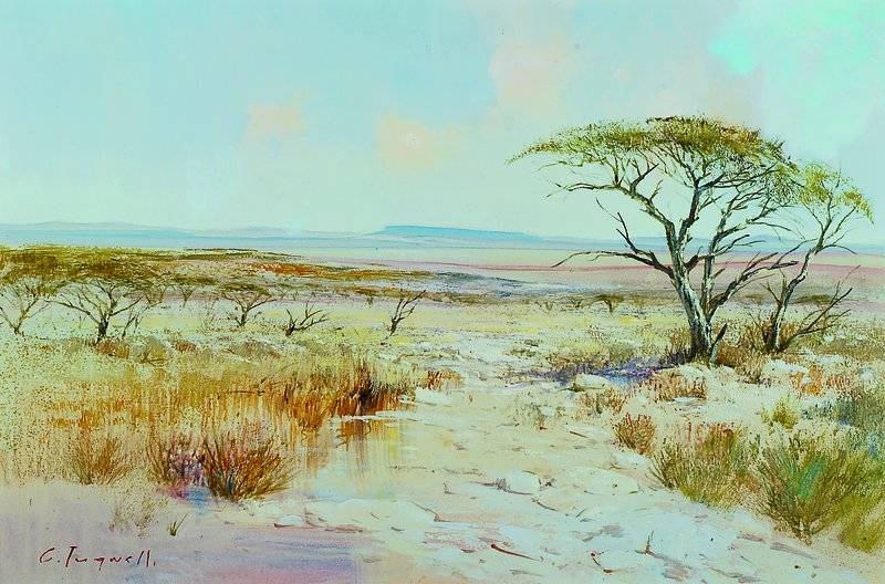 Christopher Tugwell, geb. 1938 Durban, einer der bekanntesten Landschaftsmaler aus Südafrika, Werke in zahlreichen öffentlichen und privaten ...