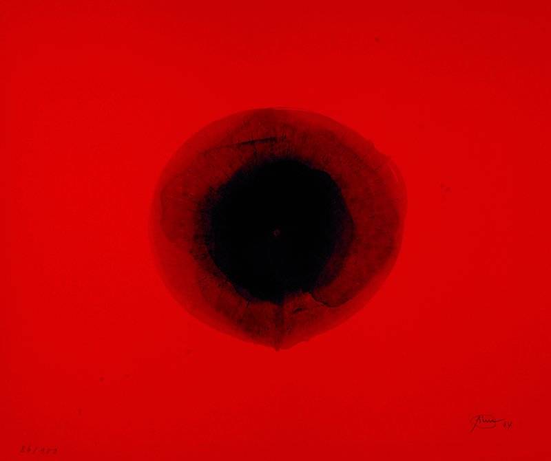 Otto Piene, geb. 1928 Laasphe/Westfalen, Schwarze Rose, Radierung, 86/100, rechts untensigniert und datiert 64, ca. 40x48 cm