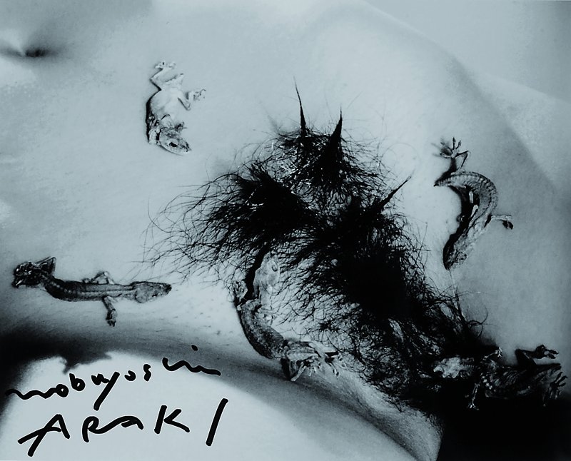 Nobuyoshi Araki, geb. 1940 Tokio, s/w Fotografie, Tokyo Model 1, handsigniert, ca. 19x23.5 cm