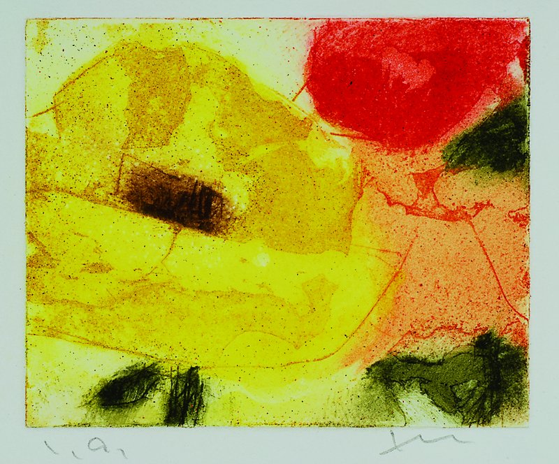 Klaus Fussmann, geb. 1938 Velbert, Farbradierung, Rosen, handsigniert, bezeichnet e.a., ca. 9x11 cm