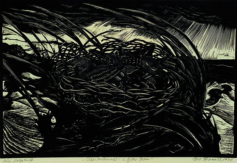 Fredderich, Rudolf, 1886-1975, Rabenkrähennest in den Sylter Dünen 1934, Holzschnitt, handsign., handbetitelt, Druckstock ca. 30x44,5 cm