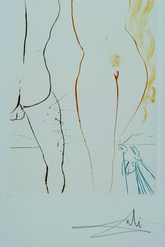 Detail b: Salvador Dali, 1904-1989, "Le Decameron", komplette Mappe auf Französisch, Text von Giovanni Boccaccio, mit zehn farbigen ...