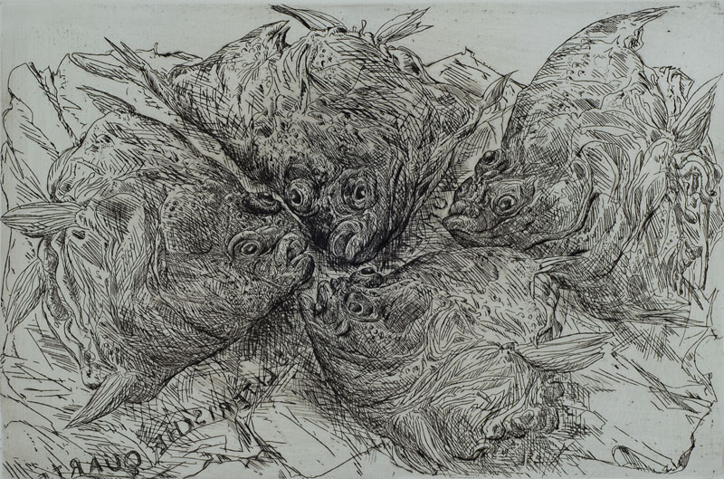 Günter Grass, geb. 1972, Fische, Radierung, handsigniert und nummeriert 30/100, ca. 65x50 cm