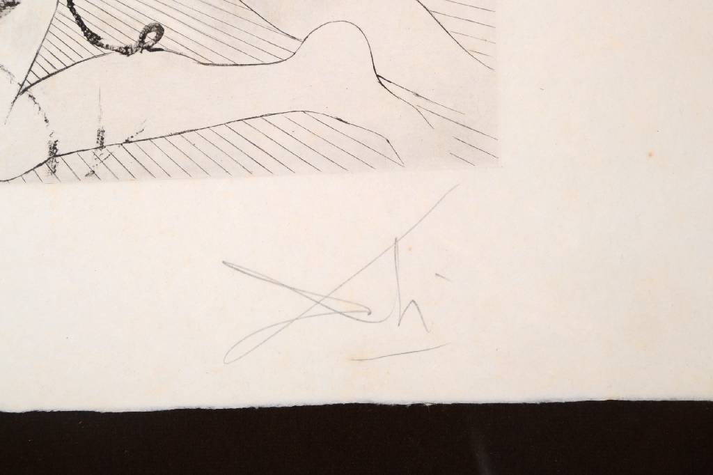 Detail b: Salvador Dali, 1904-1989, Lithographie, 1963, aus Odysee, hier: Medusa als Oktopus dargestellt, im Wechselspiel von Tod und Leben, bildhaft ...