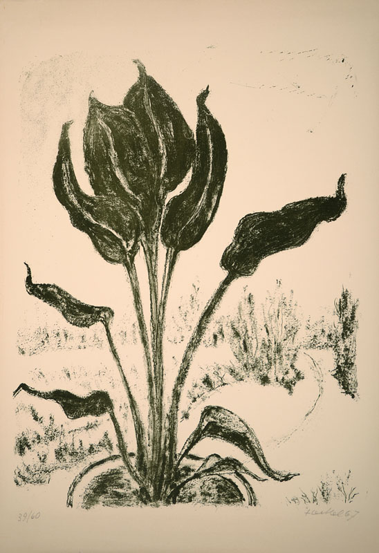 Erich Heckel, 1883-1970, "Am Fenster", Farblithographie auf Velin, handsigniert, num. 39/60, datiert 67, WVZ: Dube L 393, Blattgr. ca. ...
